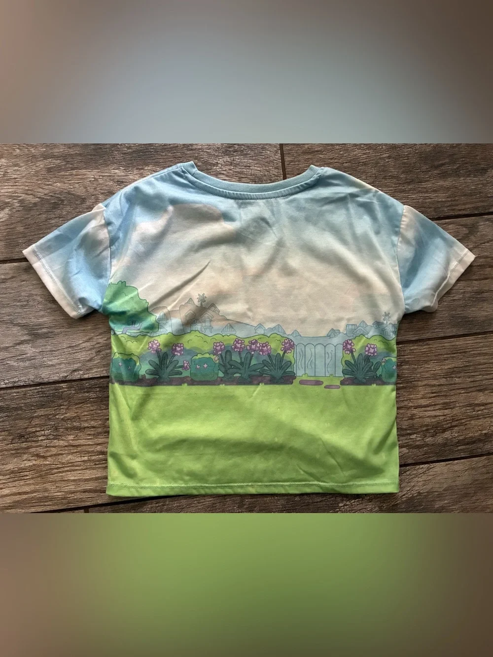 Bluey Girls Clothing Bundle with Earrings Size 6